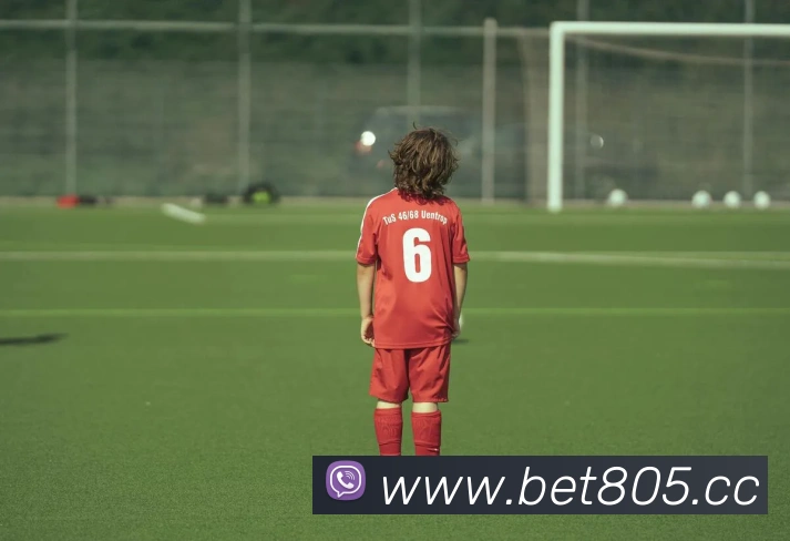 bet365comAPP 封面图
